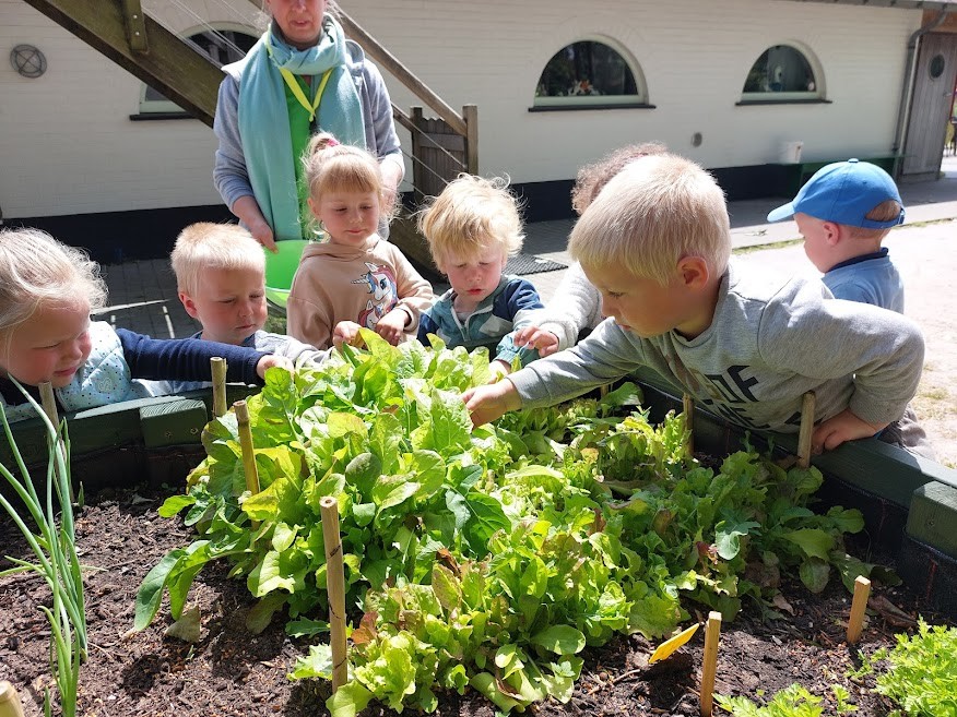 kinderboerderij2