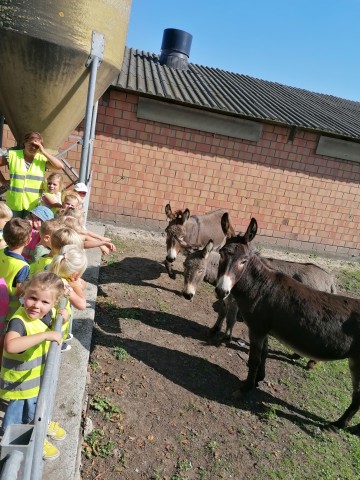 kleuters maken kennis met George, Georgette en Lisa